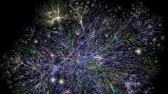 The Internet of Living Things